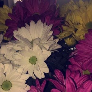 Meet your Posher, Gretchen